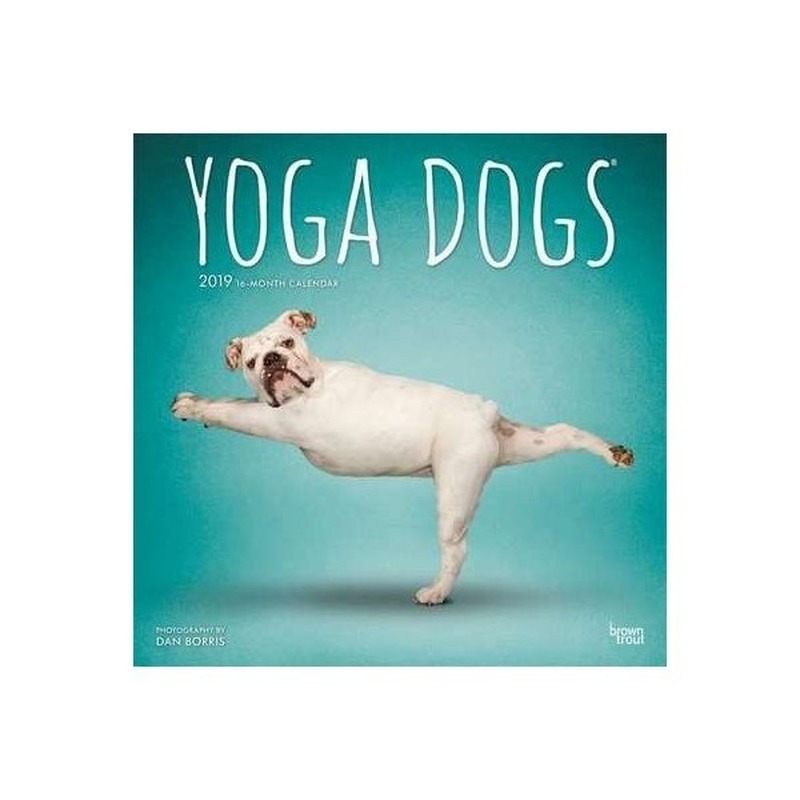 Yoga Dogs kalender 2019