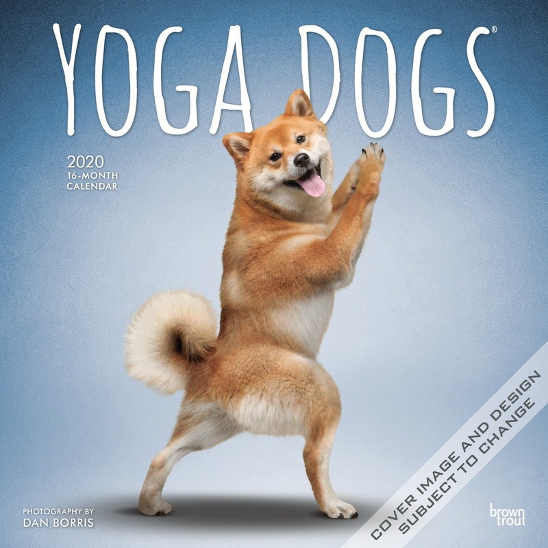 Yoga honden 2020 dieren wandkalender