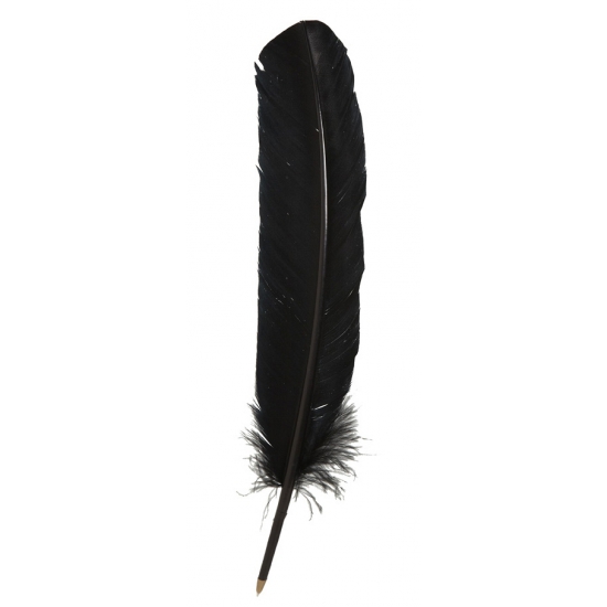 Zwarte ganzenveren pennen 30 cm