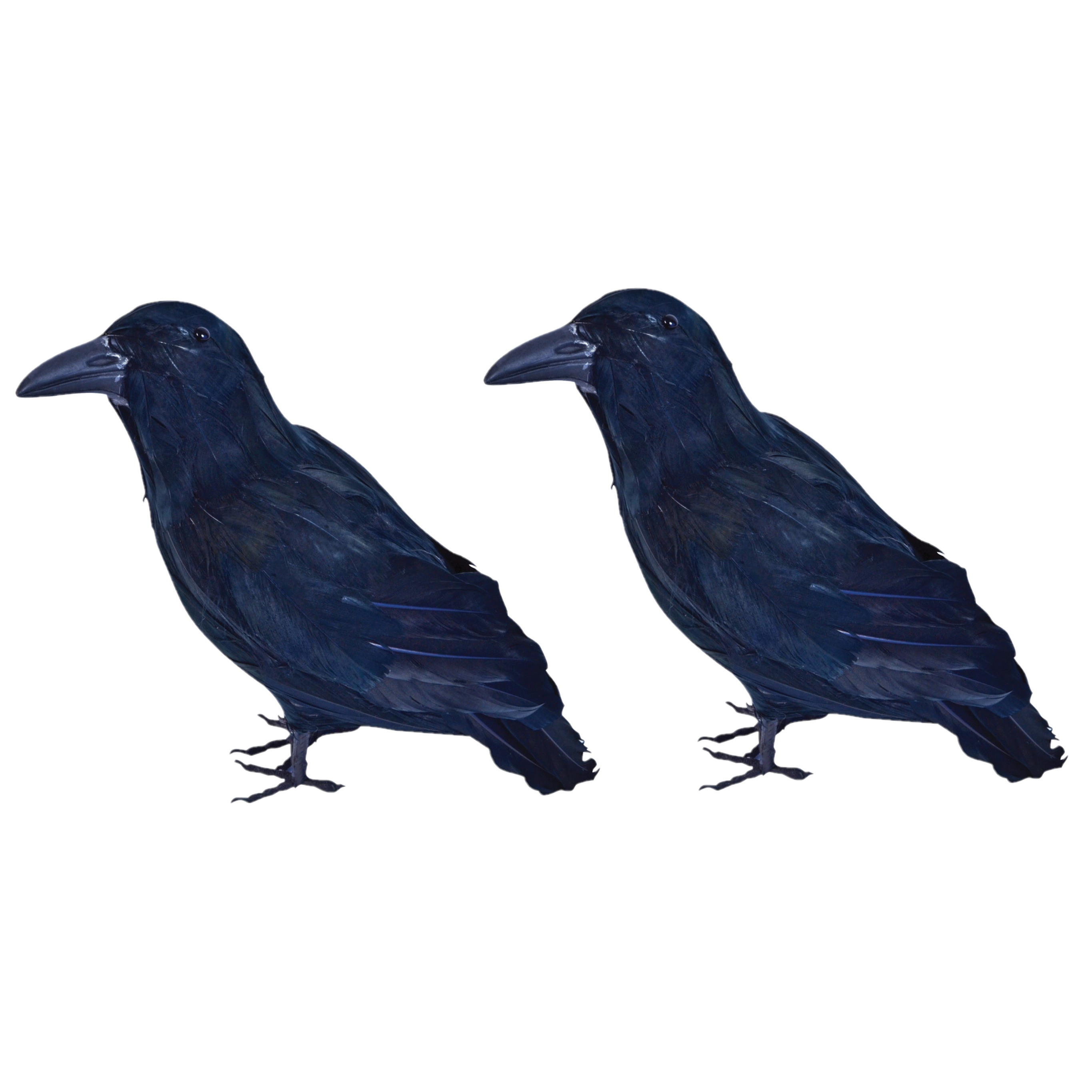 Afbeelding 2x Horror raven/kraaien zwart 30 cm door Animals Giftshop