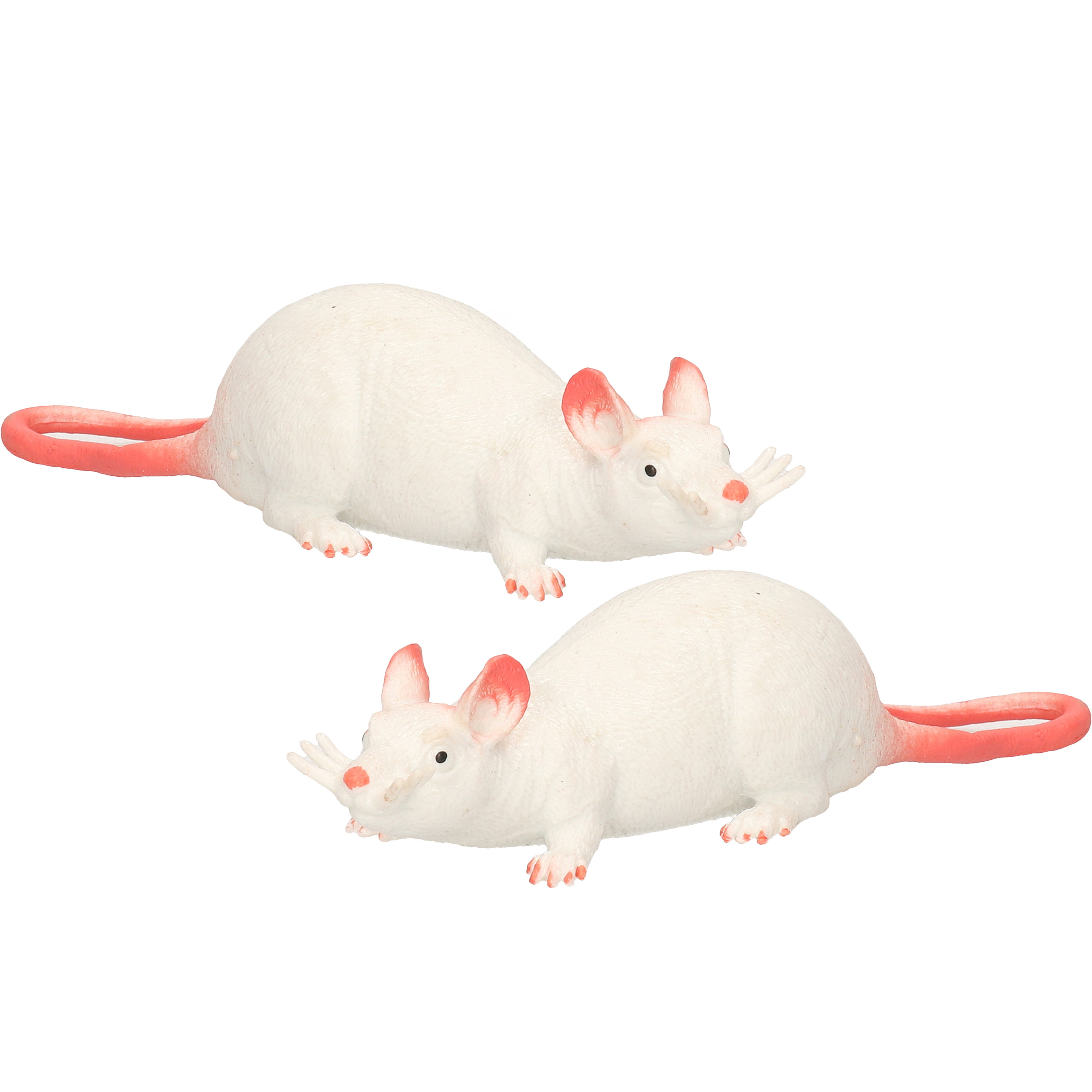 Afbeelding 2x Speelgoed ratten 28 cm door Animals Giftshop