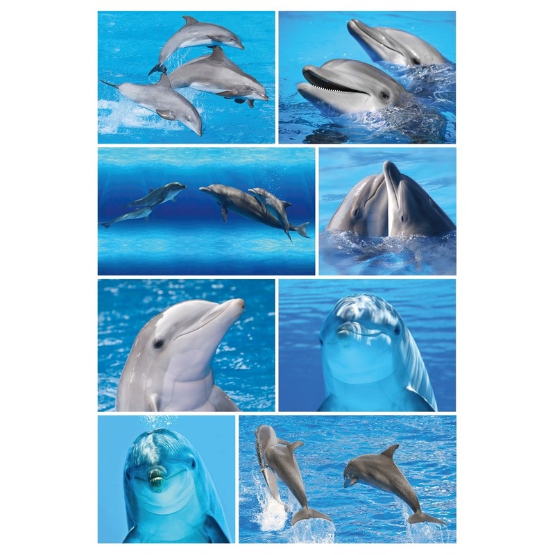 3x Dolfijn stickervellen met 8 stickers