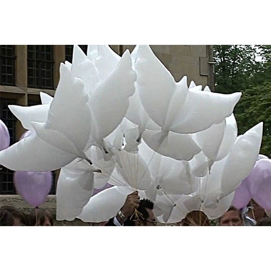Bio helium ballon van een witte duif