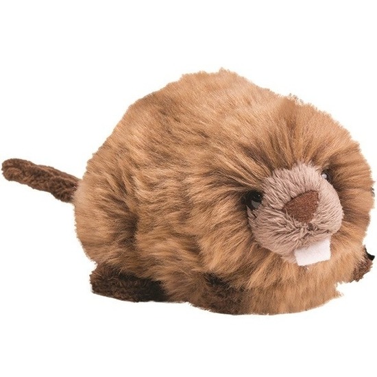 Afbeelding Bruine bevers knuffels 19 cm knuffeldieren door Animals Giftshop