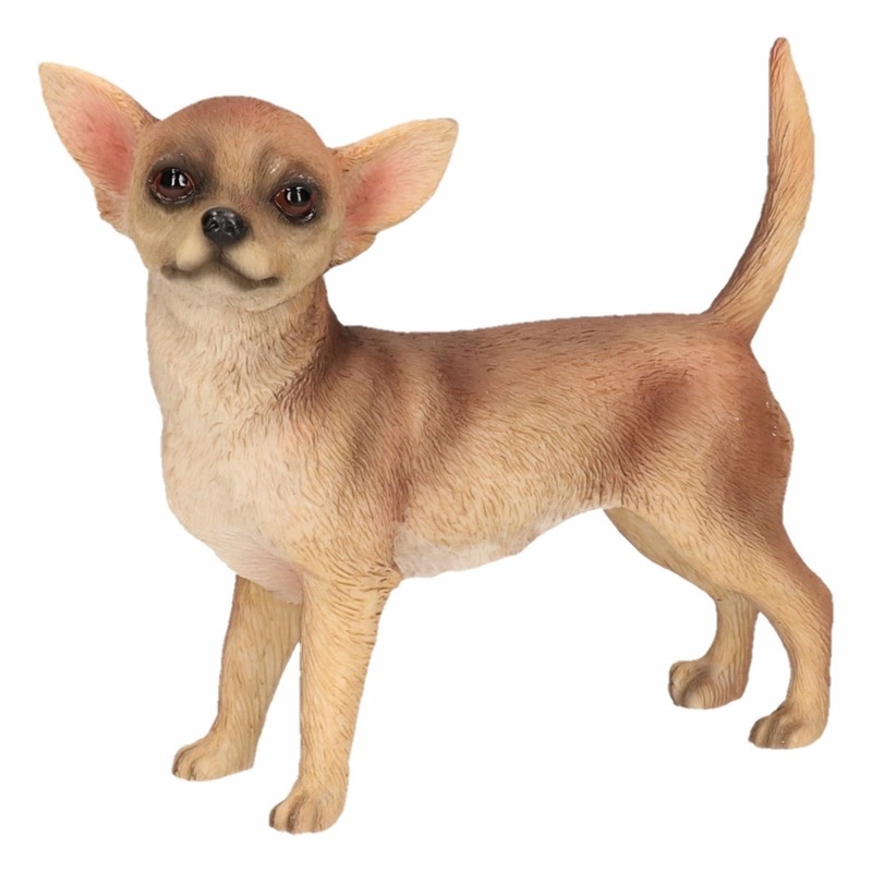Bruine Chihuahua decoratie beeldje 10 cm