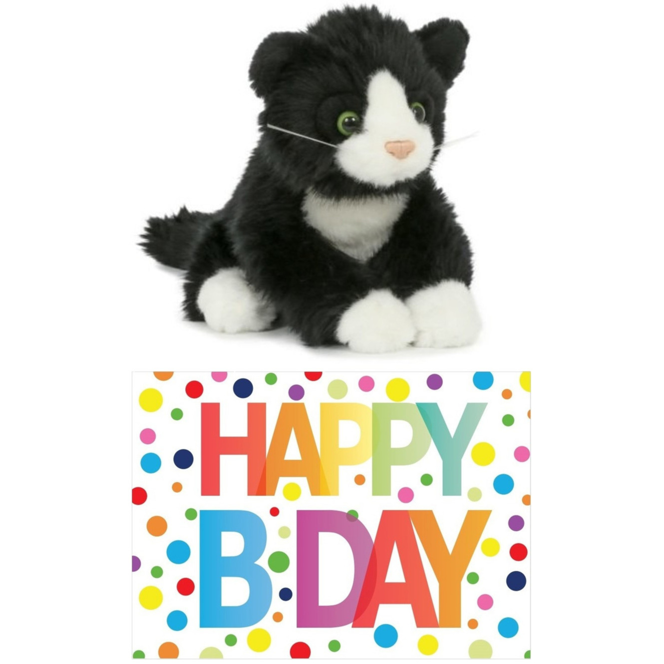 Cadeau setje pluche zwart/witte kat/poes knuffel 18 cm met Happy Birthday wenskaart