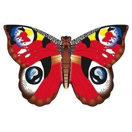 Afbeelding Dagpauwoog vlinder speel vlieger 70 x 48 cm door Animals Giftshop