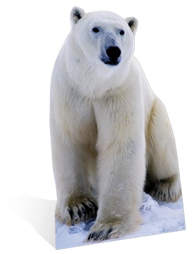 Decoratiebord ijsbeer 176 cm