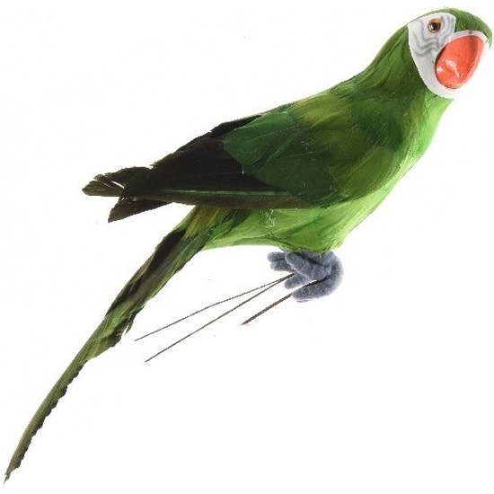 Decoratiepapegaai groene ara papegaai vogel met veren 34 cm