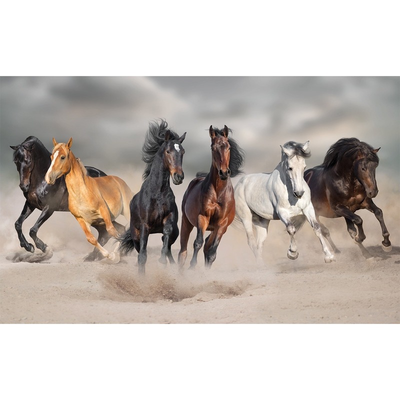 Dieren kinderkamer poster galopperende paarden in het zand 84 x 52 cm