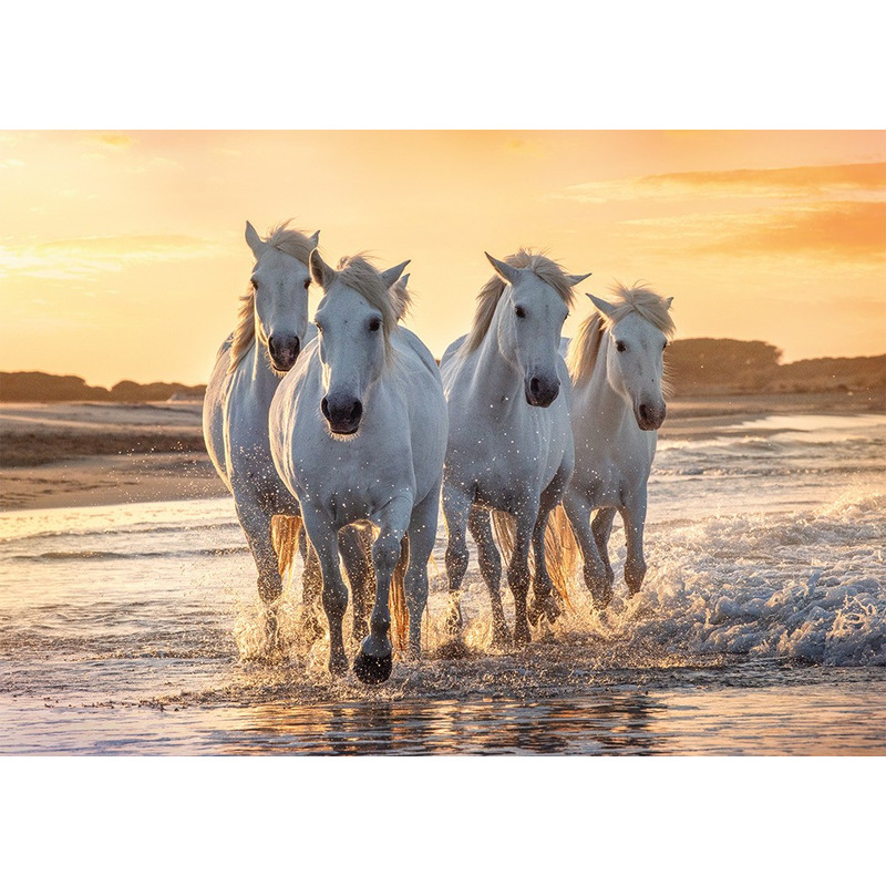 Dieren kinderkamer poster kudde witte paarden in de zee 84 x 59 cm