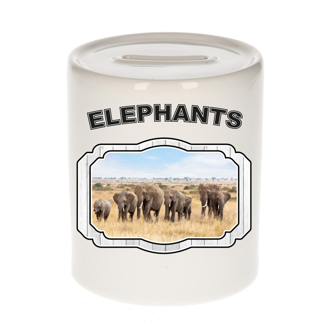 Dieren liefhebber olifant spaarpot - olifanten cadeau