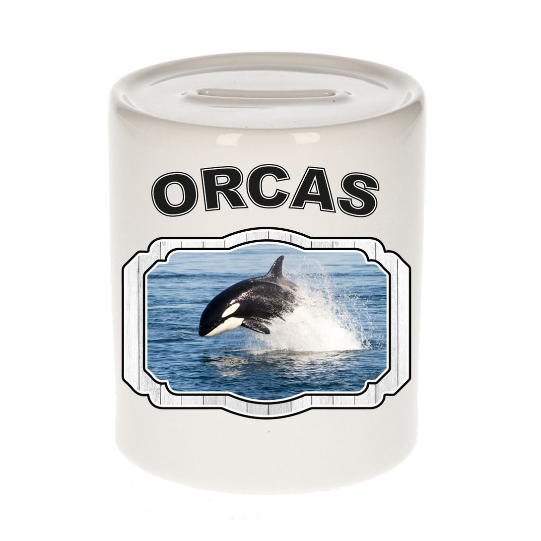 Afbeelding Dieren liefhebber orka spaarpot - orka vissen cadeau door Animals Giftshop
