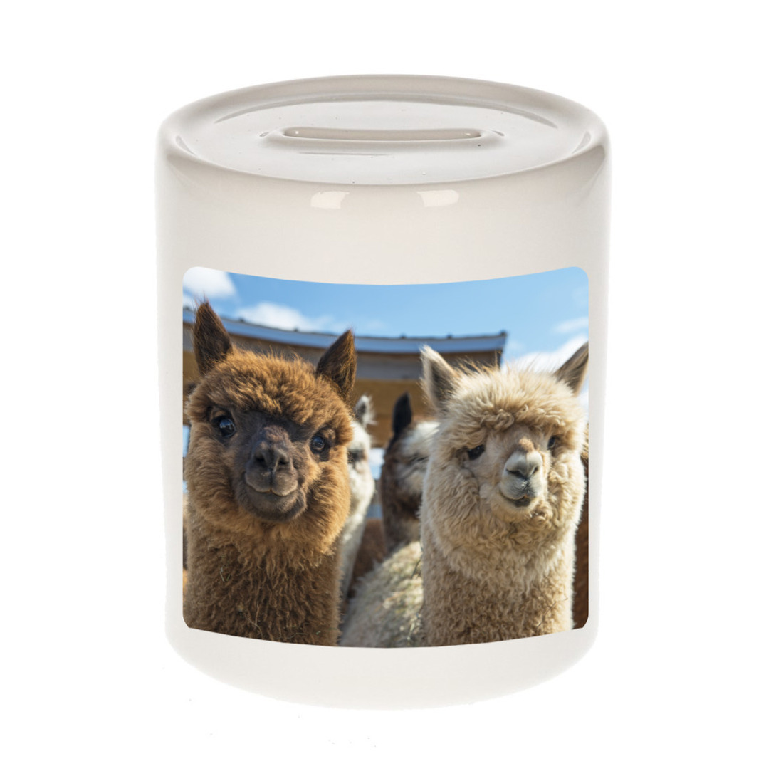 Foto alpaca spaarpot 9 cm Cadeau alpacas liefhebber