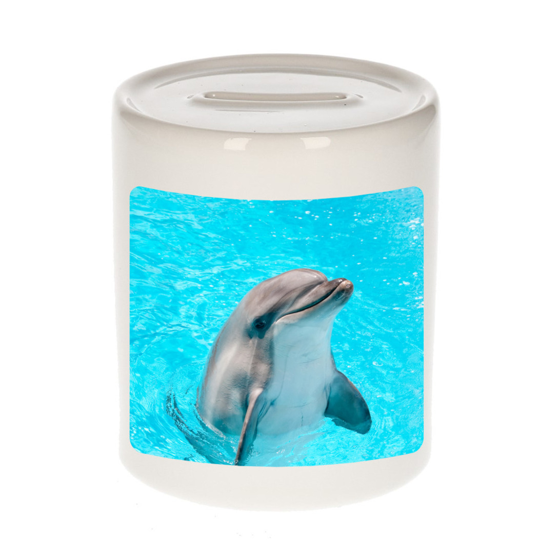 Foto dolfijn spaarpot 9 cm - Cadeau dolfijnen liefhebber