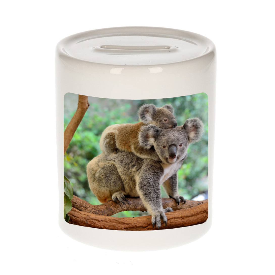 Foto koala spaarpot 9 cm Cadeau koalaberen liefhebber