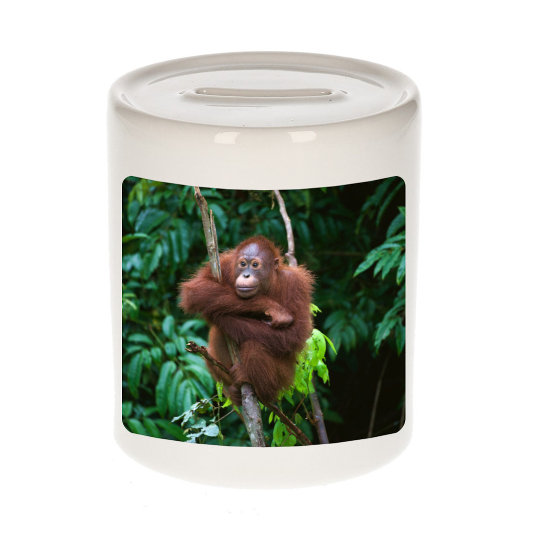 Foto mok orangoetan spaarpot 9 cm - Cadeau apen liefhebber
