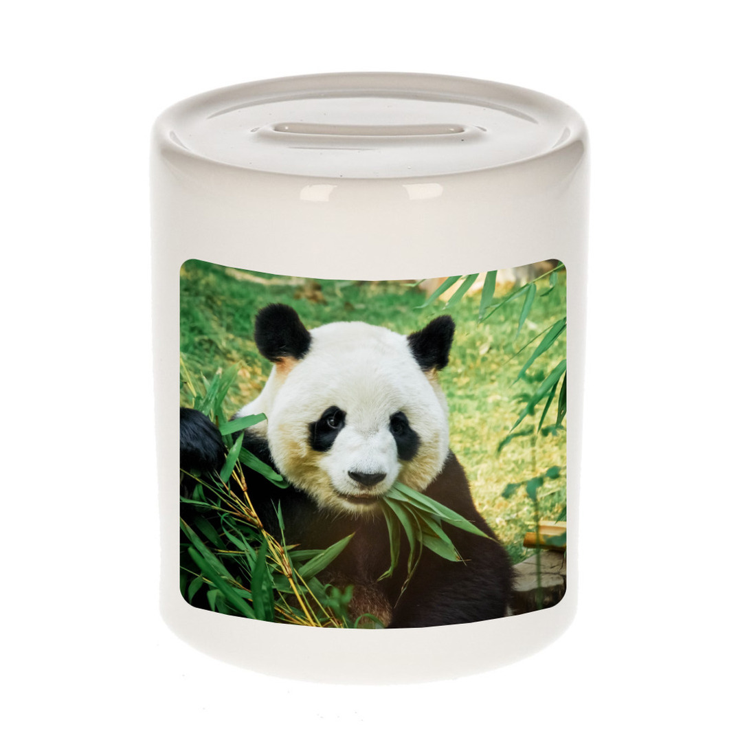 Foto panda spaarpot 9 cm - Cadeau pandaberen liefhebber