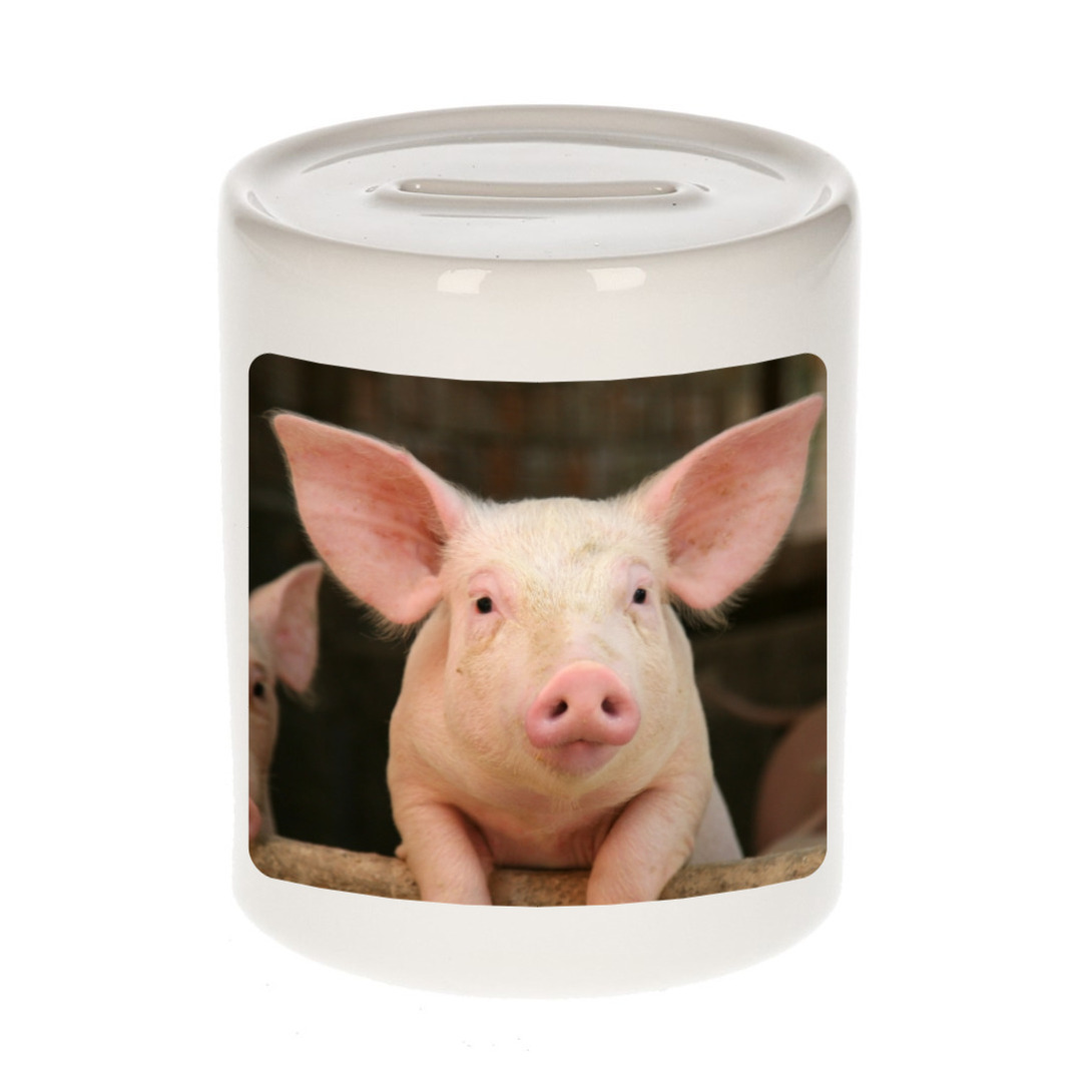 Foto varken spaarpot 9 cm - Cadeau varkens liefhebber