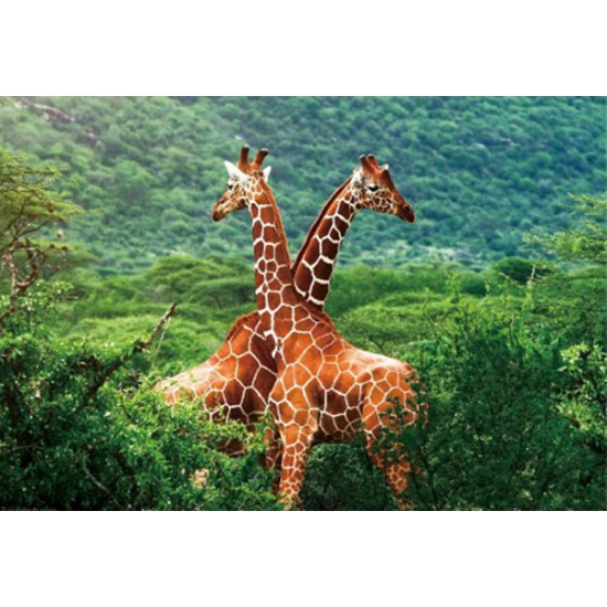 Giraffe placemats 3D