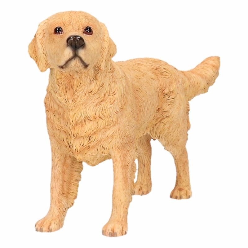 Afbeelding Golden Retriever decoratie beeldje 15 cm door Animals Giftshop