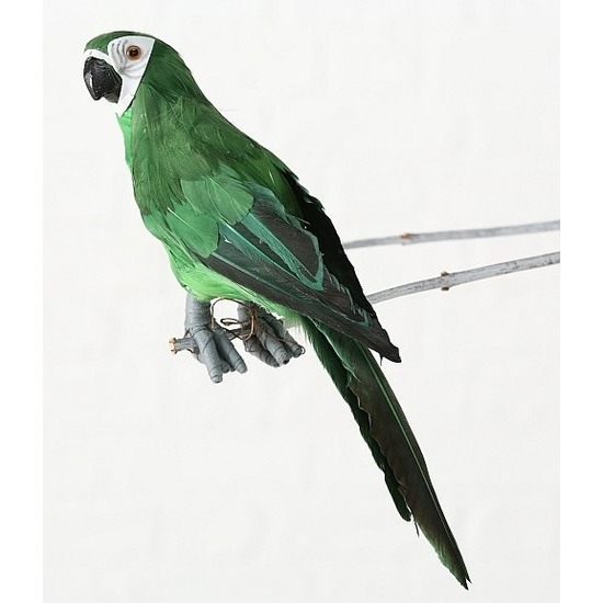 Groen woondecoratie beeld ara papegaai vogel 33 cm