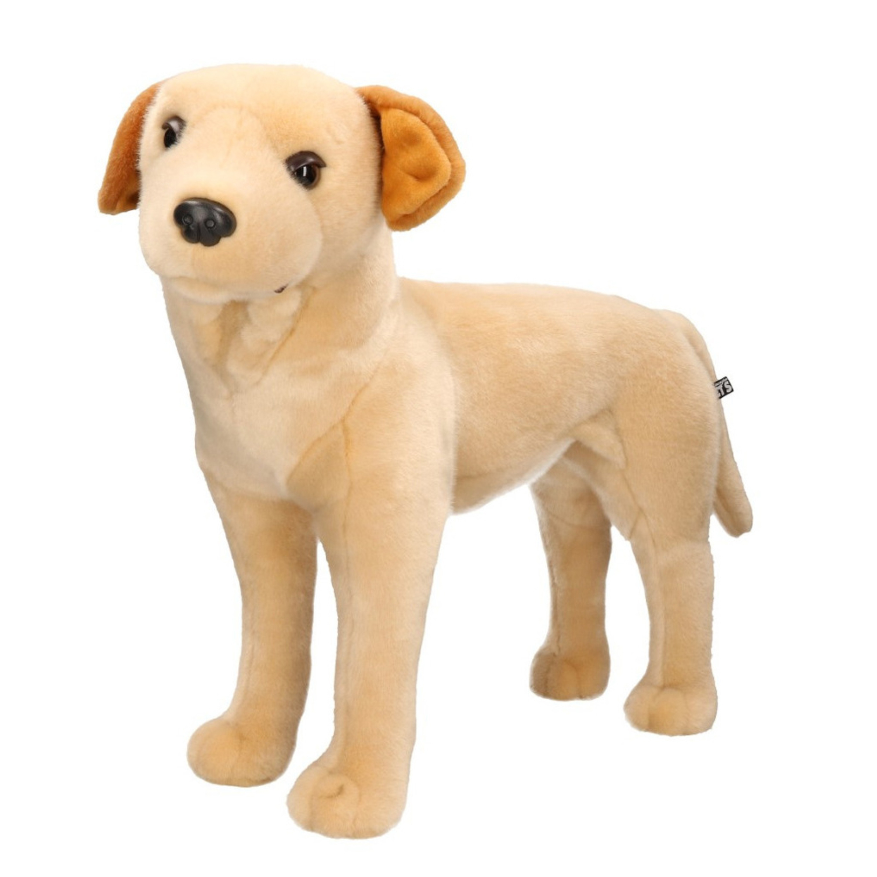 Afbeelding Grote lichte labrador honden knuffels 53 cm knuffeldieren door Animals Giftshop