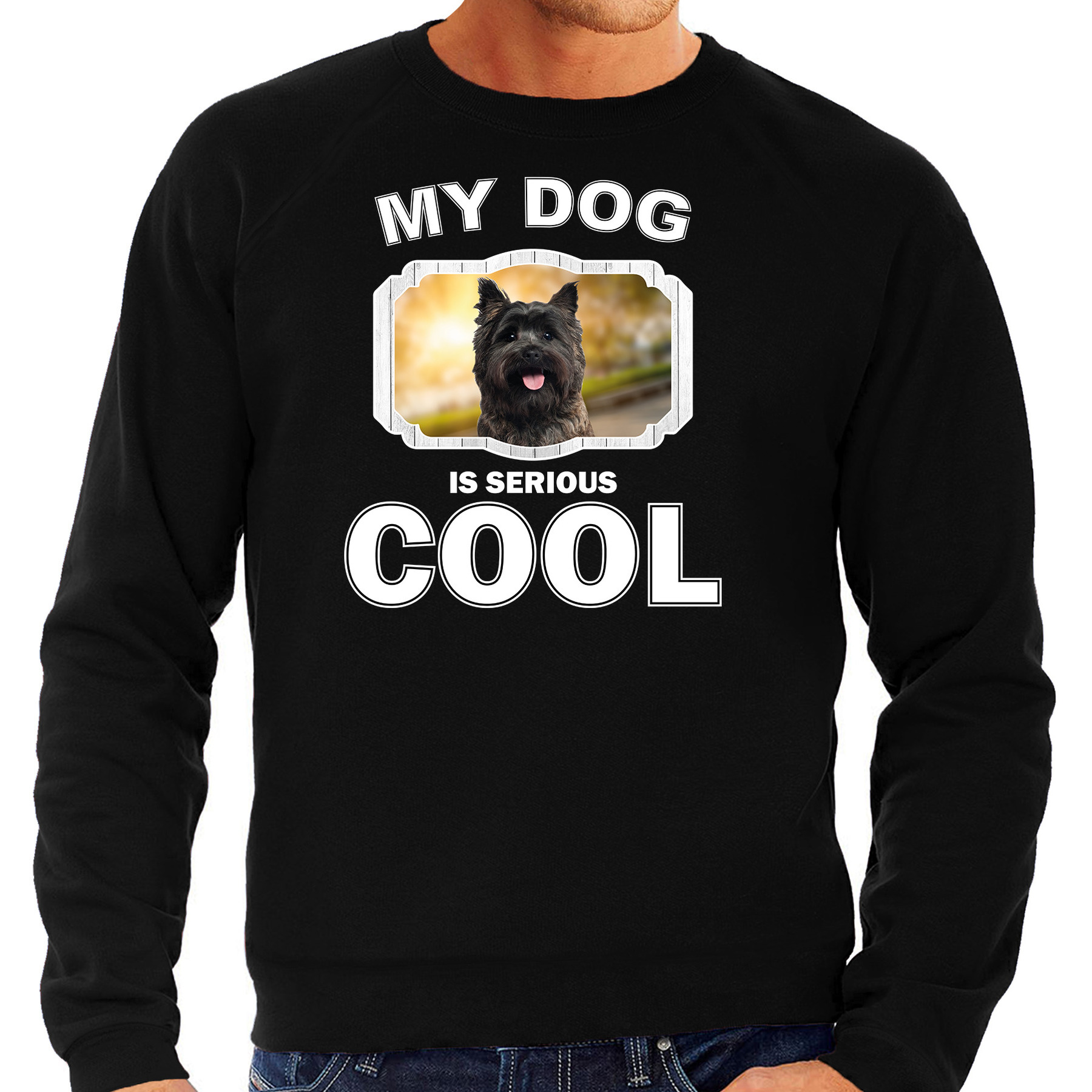 Honden liefhebber trui - sweater Cairn terrier my dog is serious cool zwart voor heren