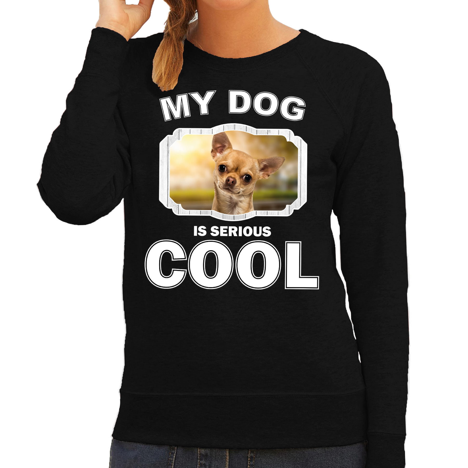 Honden liefhebber trui-sweater Chihuahua my dog is serious cool zwart voor dames