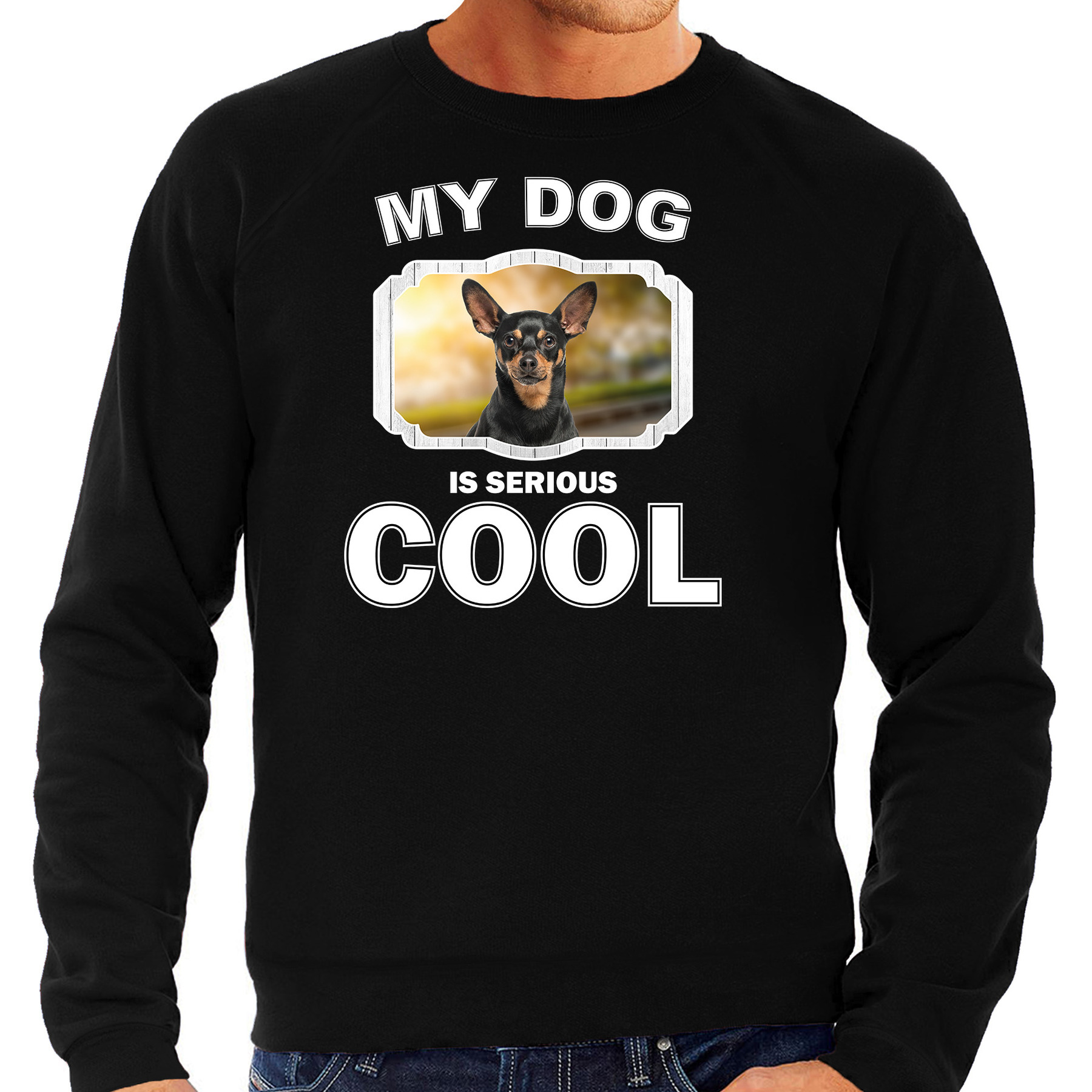 Honden liefhebber trui - sweater Dwergpinscher my dog is serious cool zwart voor heren