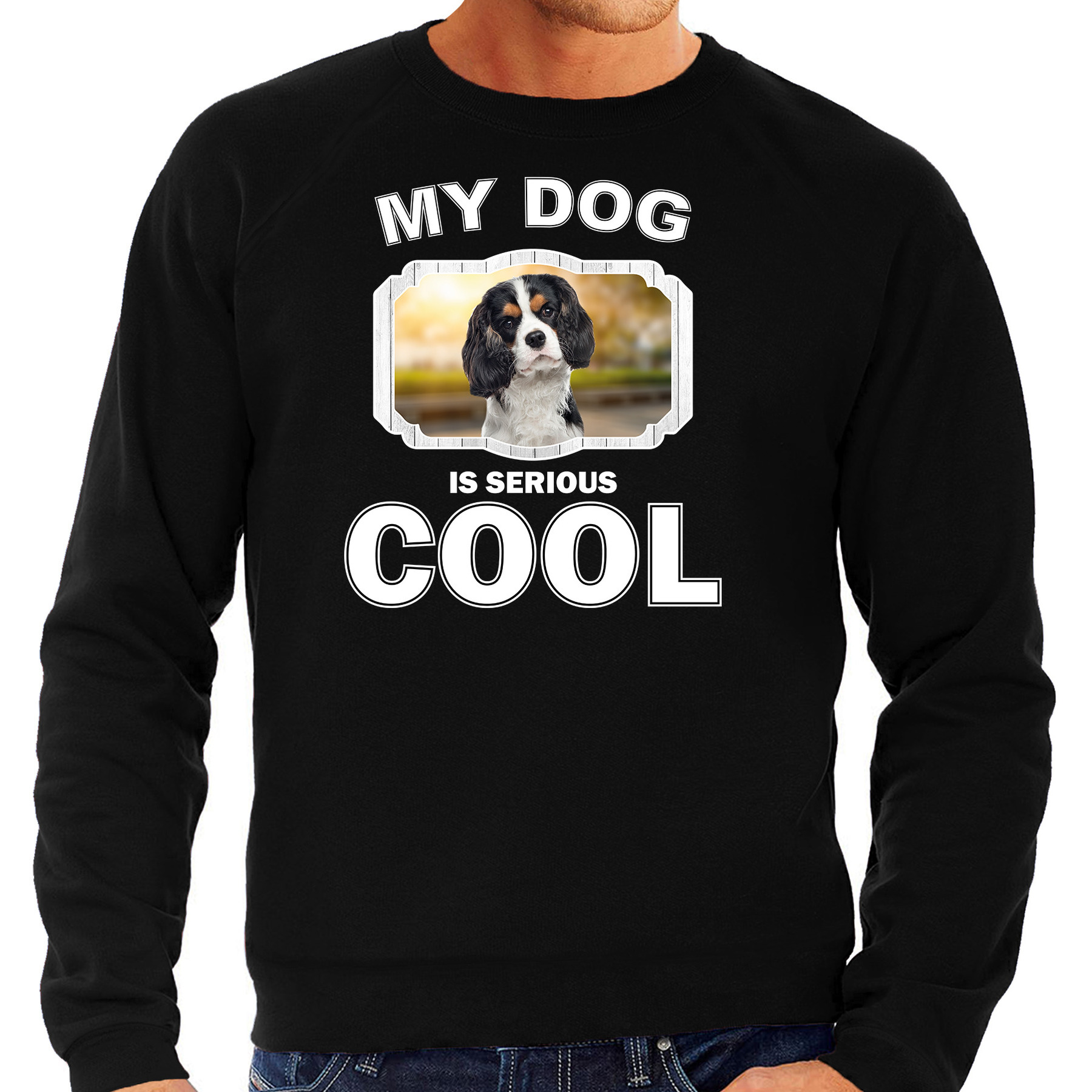 Honden liefhebber trui - sweater Spaniel my dog is serious cool zwart voor heren