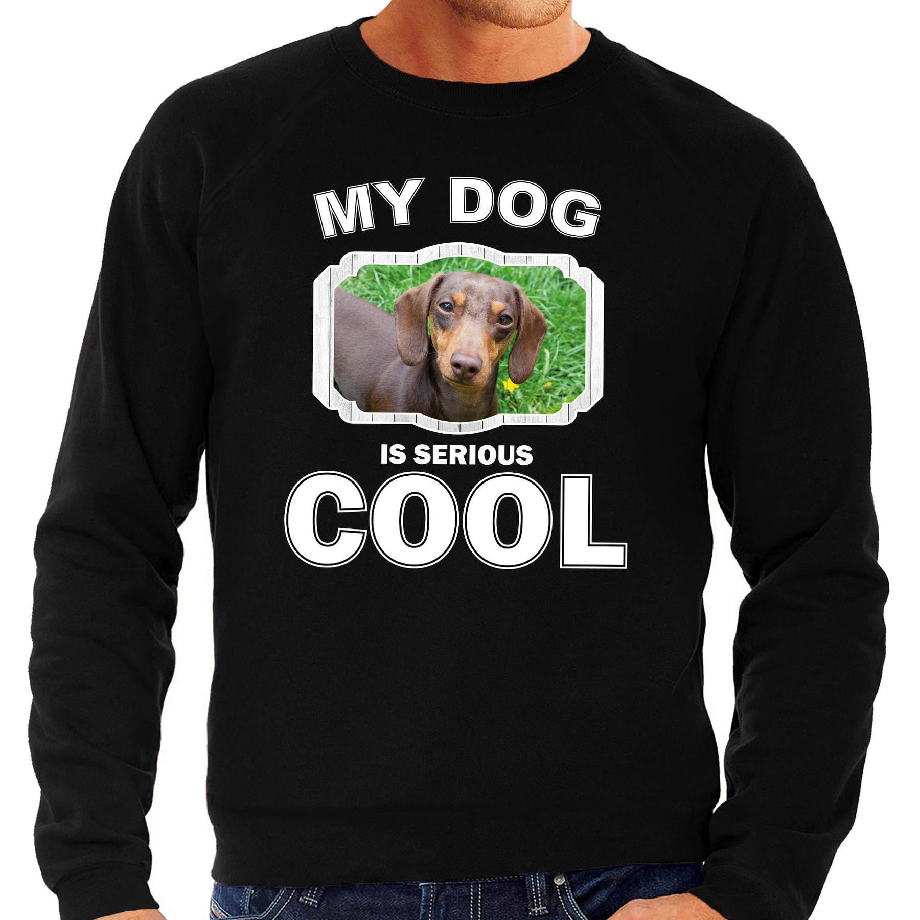 Honden liefhebber trui - sweater Teckel my dog is serious cool zwart voor heren