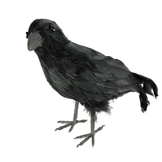 Horror/Halloween raaf/kraai vogel - zwart - 32 cm