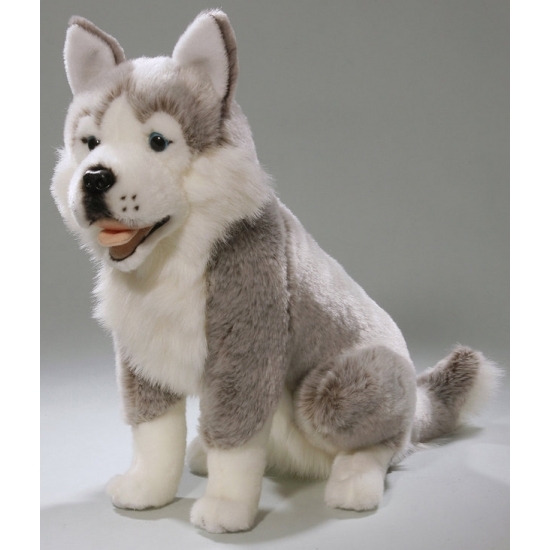 Afbeelding Husky hond knuffeldier 37 cm door Animals Giftshop