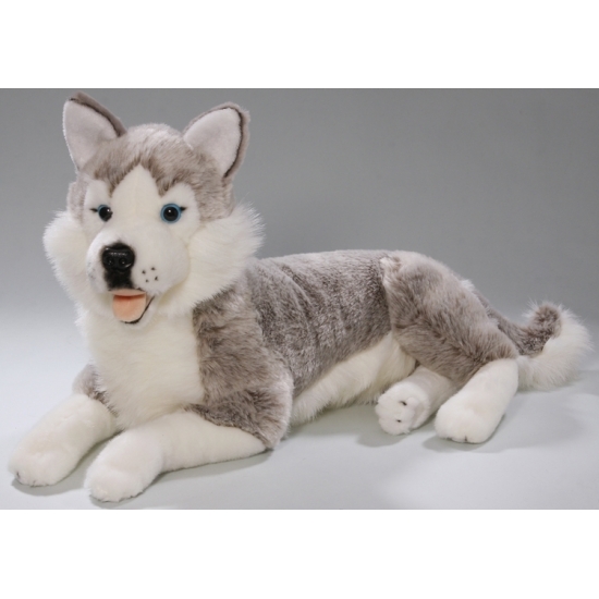Husky hond knuffeldier/knuffelbeest van 42 cm