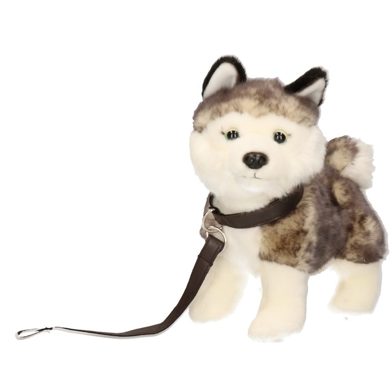 Afbeelding Husky hond knuffeltje 22 cm door Animals Giftshop