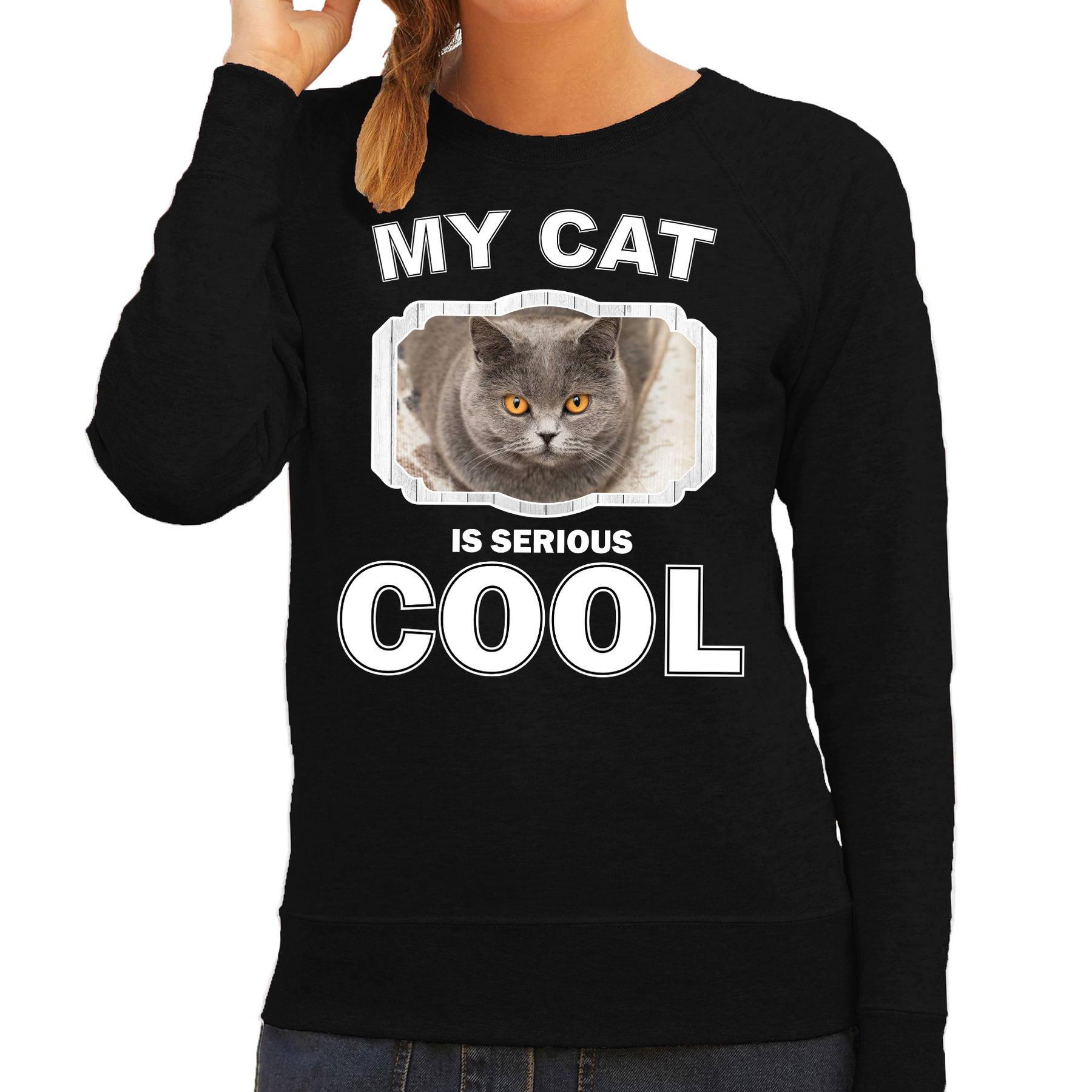 Katten liefhebber trui - sweater Britse korthaar my cat is serious cool zwart voor dames