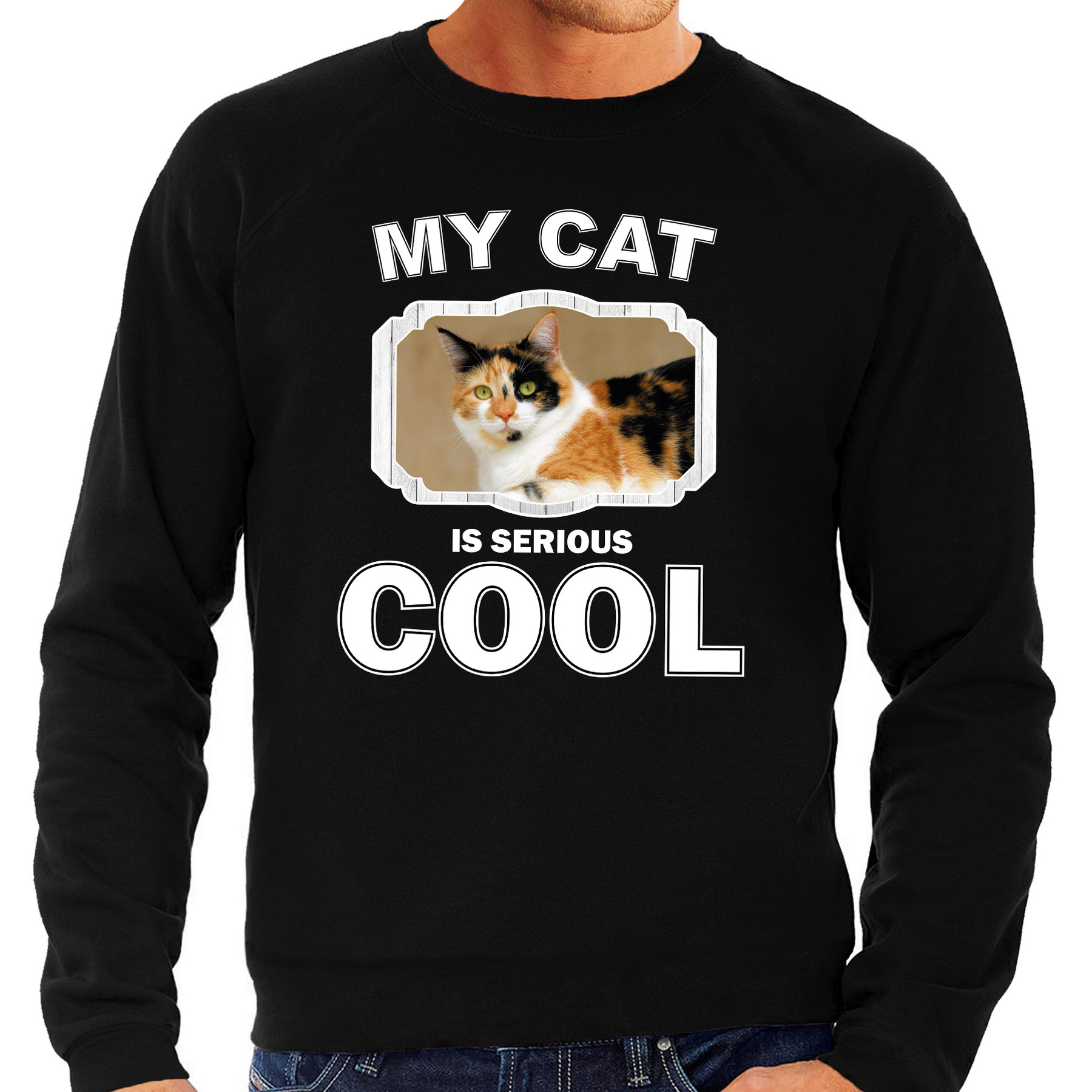 Katten liefhebber trui - sweater lapjeskat my cat is serious cool zwart voor heren