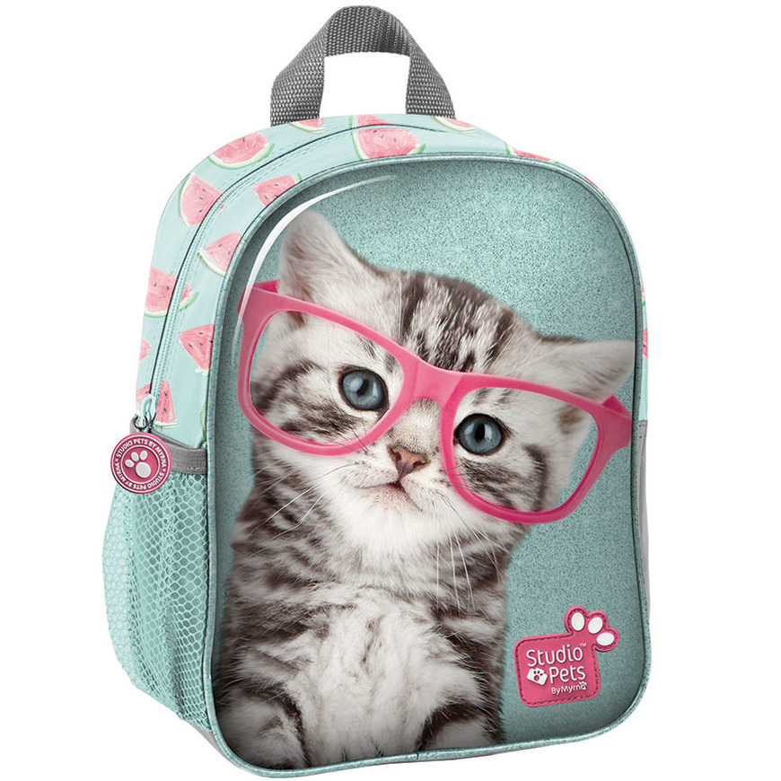 Katten/poezen lichtblauw/roze schooltasje tas voor kinderen