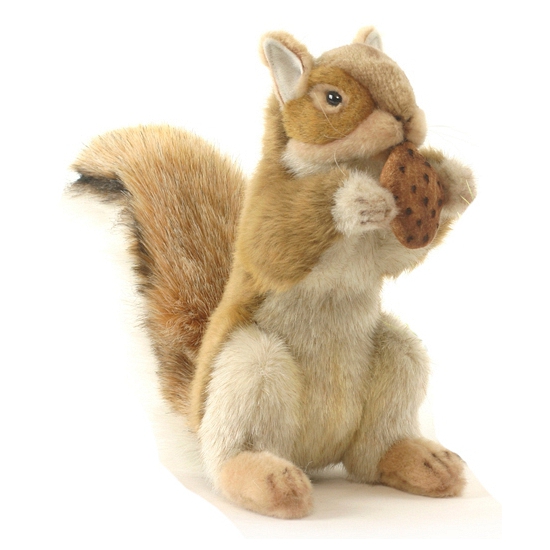 Afbeelding Knuffel eekhoorn 22 cm door Animals Giftshop