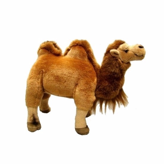 Knuffel kameel van 26 cm