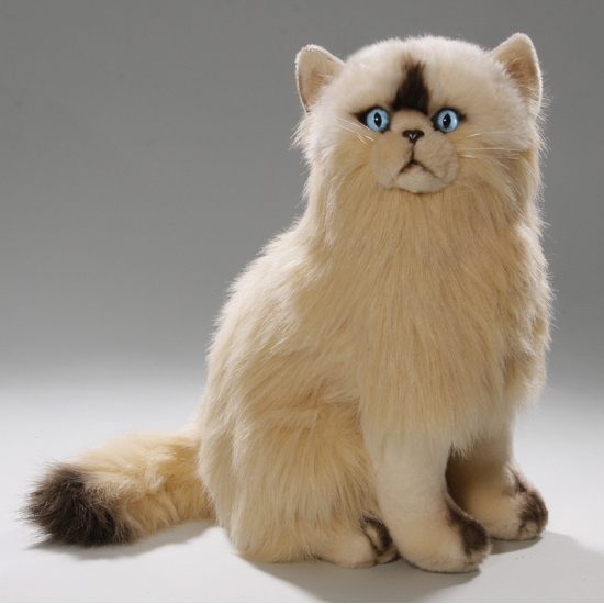 Knuffel kat persisch van 35 cm