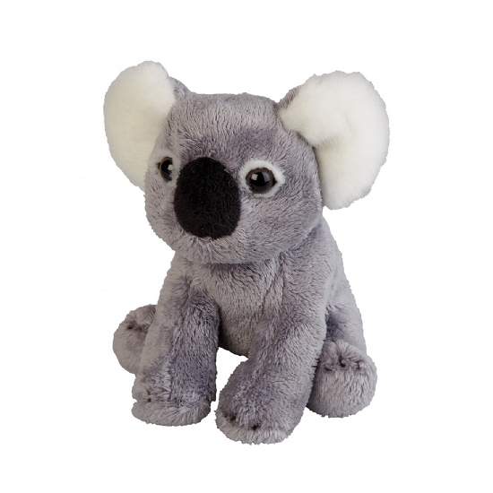 Koala knuffel 15 cm