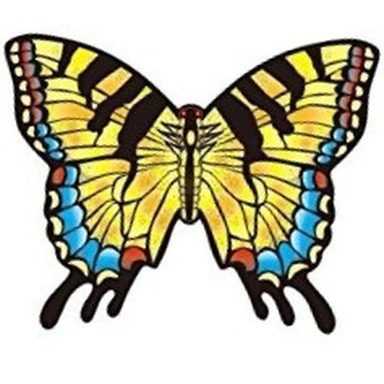 Koninginnepage vlinder speel vlieger 70 x 48 cm