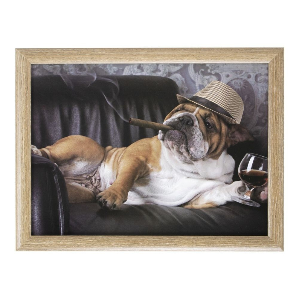 Laptray/schoottafel grappige Engelse bulldog honden print 43 x 33 cm