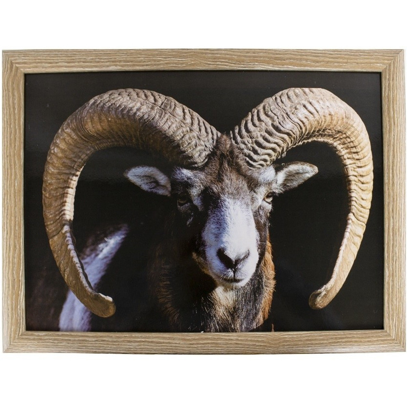 Laptray/schoottafel ram/schapen print 43 x 33 cm