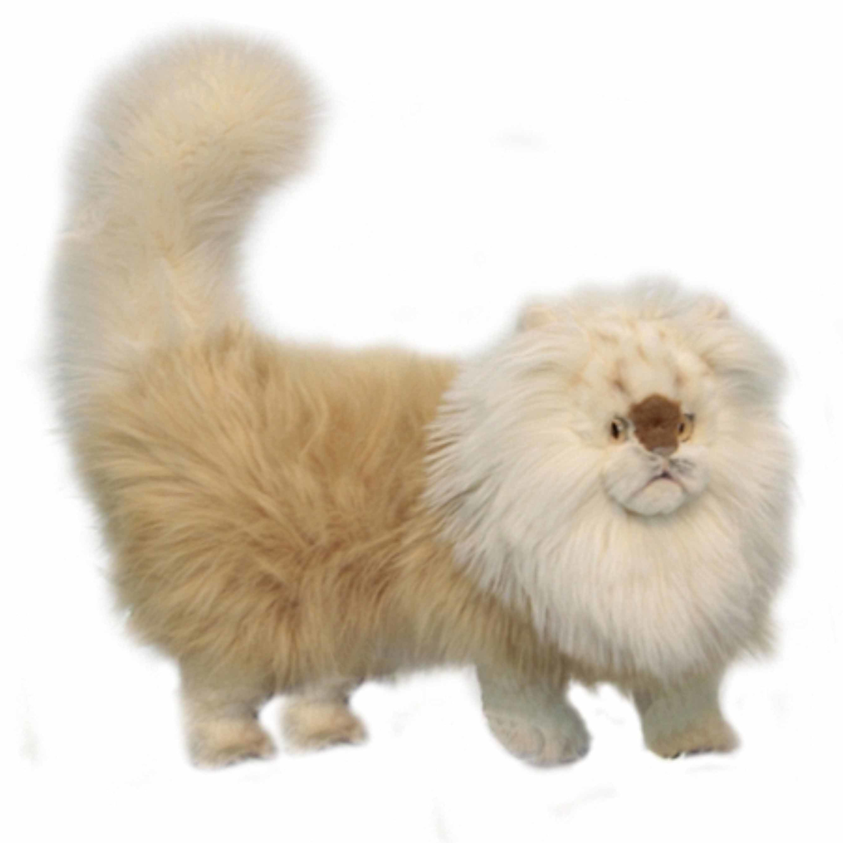 Afbeelding Luxe pluche Persische kat 45 cm door Animals Giftshop