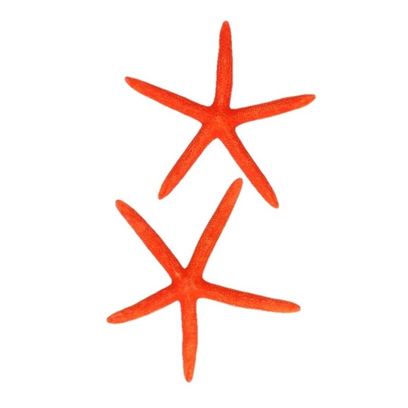 Oranje zeesterren decoratie