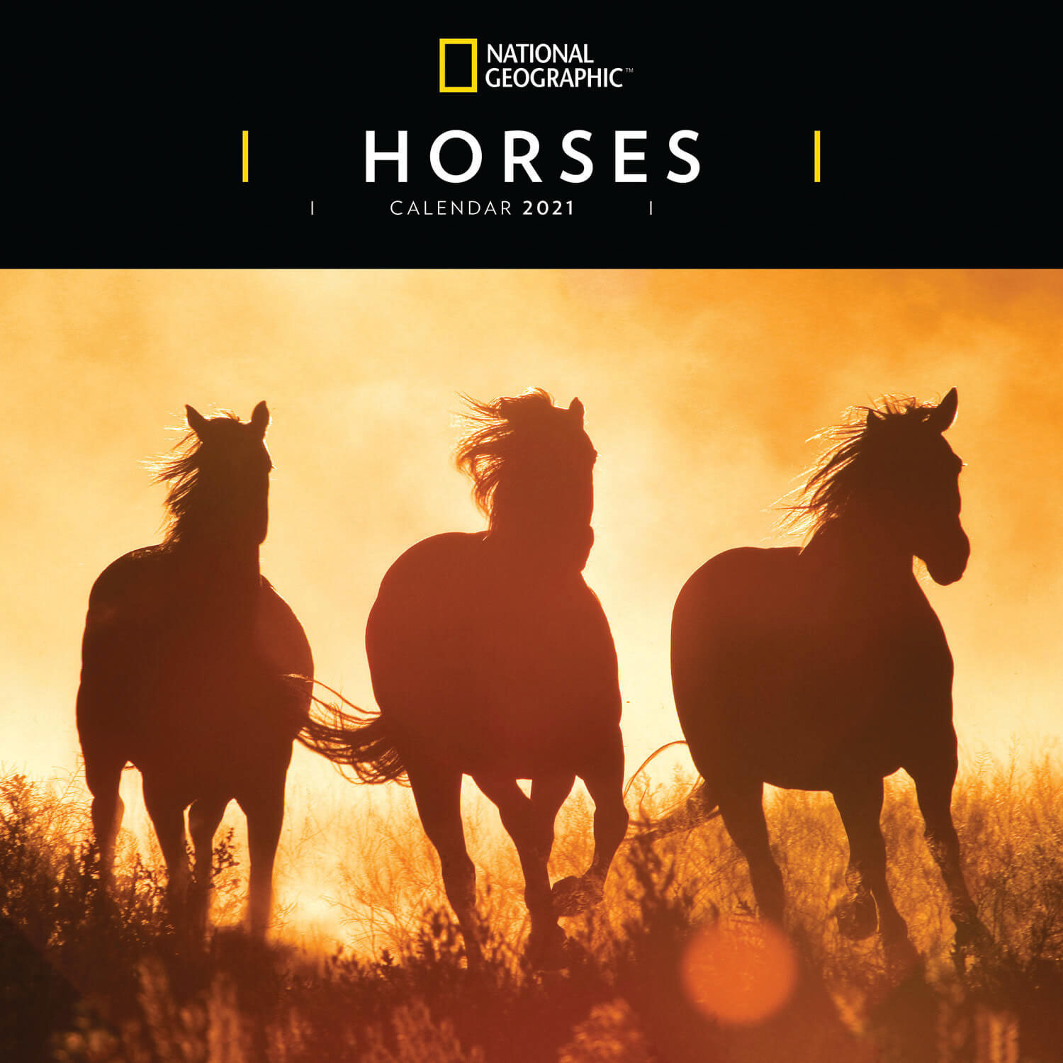 Afbeelding Paard/pony 2021 dieren wandkalender door Animals Giftshop