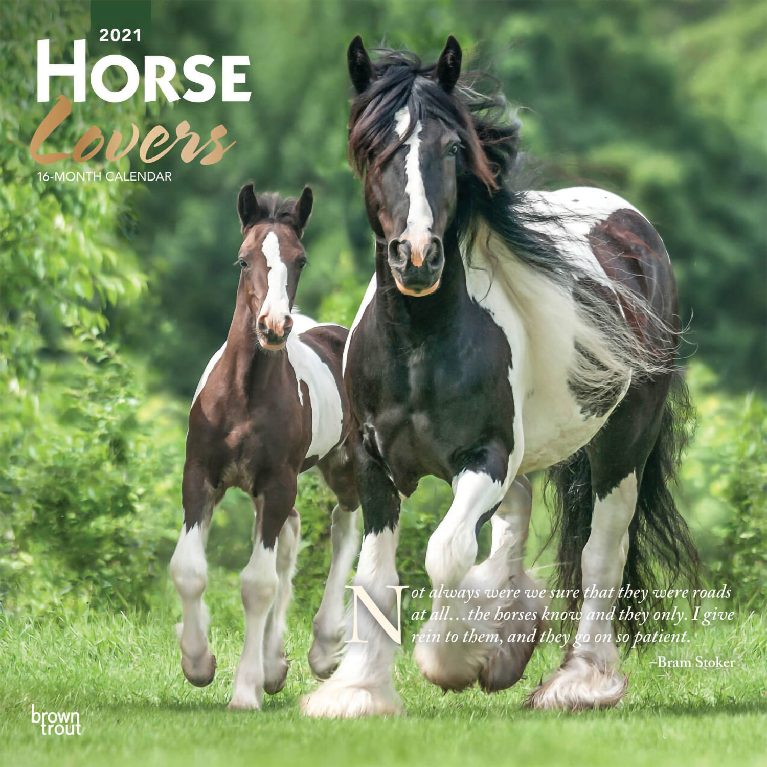 Afbeelding Paard/pony 2021 dieren wandkalender door Animals Giftshop
